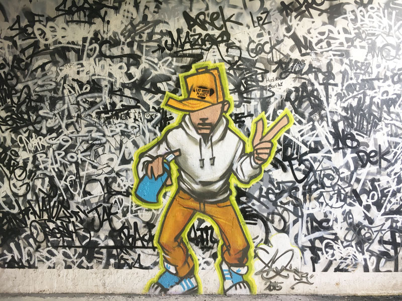 Reykjavik Island - Streetart und Murals - Reiseblog Bravegirls