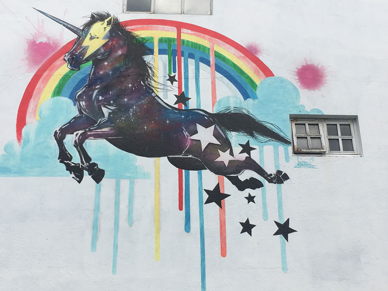 Reykjavik Island - Streetart und Murals - Reiseblog Bravegirls