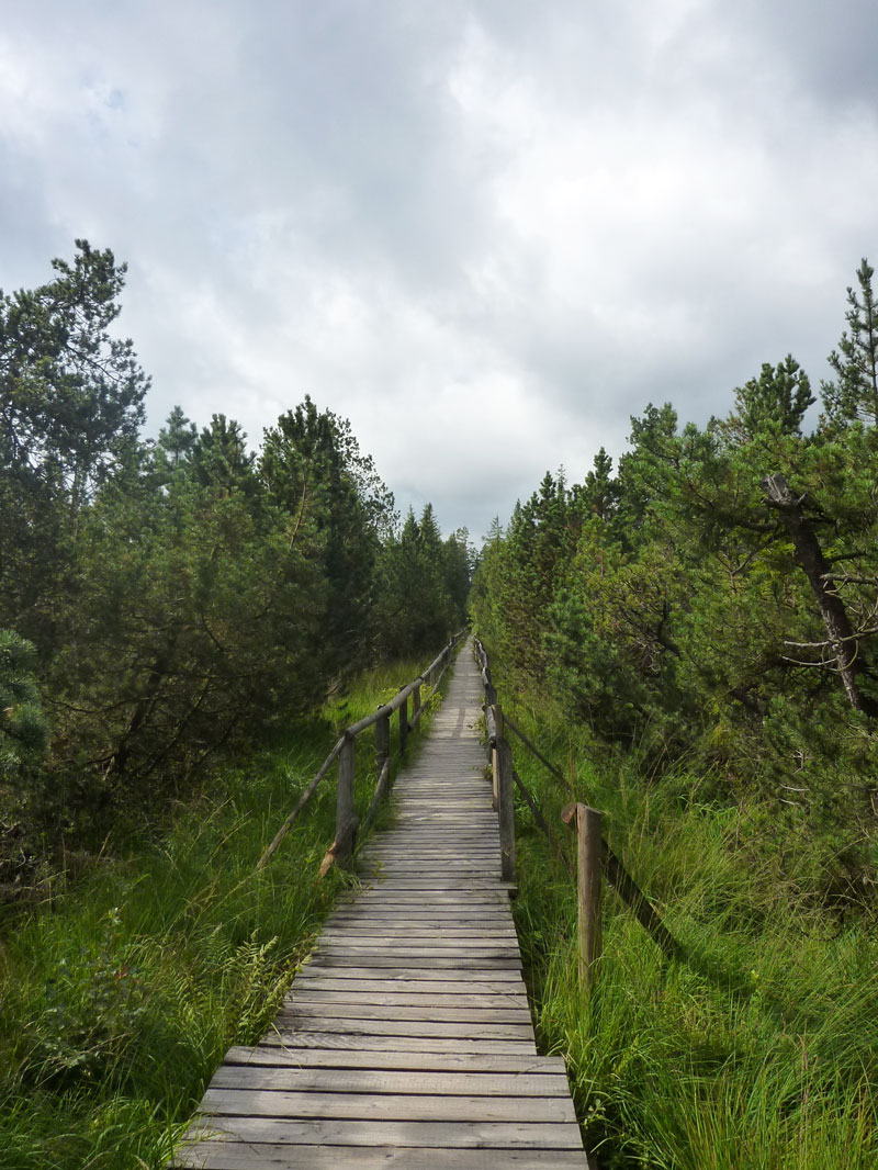 Wandern im Schwarzwald - Reiseblog Bravegirls