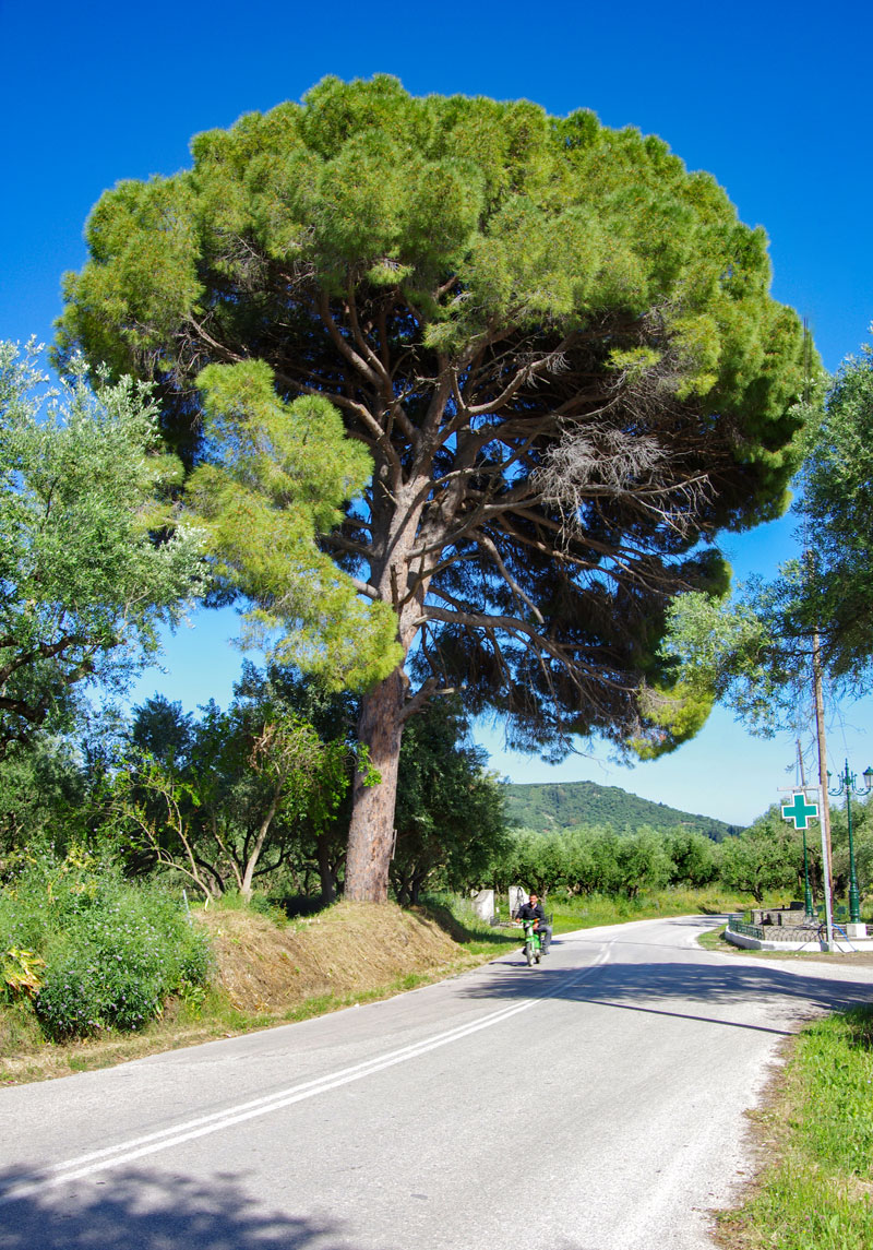 Urlaub auf der griechischen Insel Zakynthos - Reiseblog Bravegirls