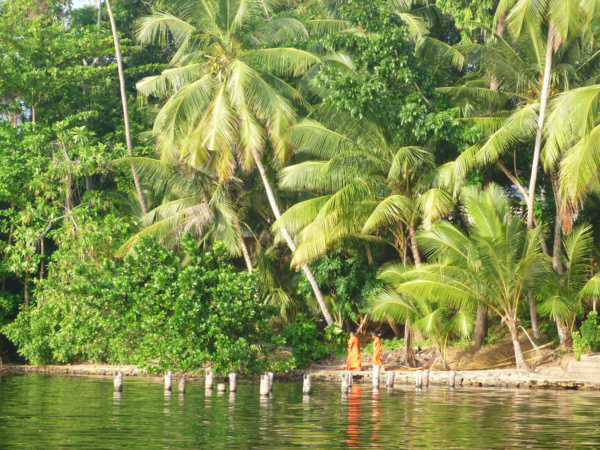 Buchtipps Highlight Sri Lanka - Bravegirls