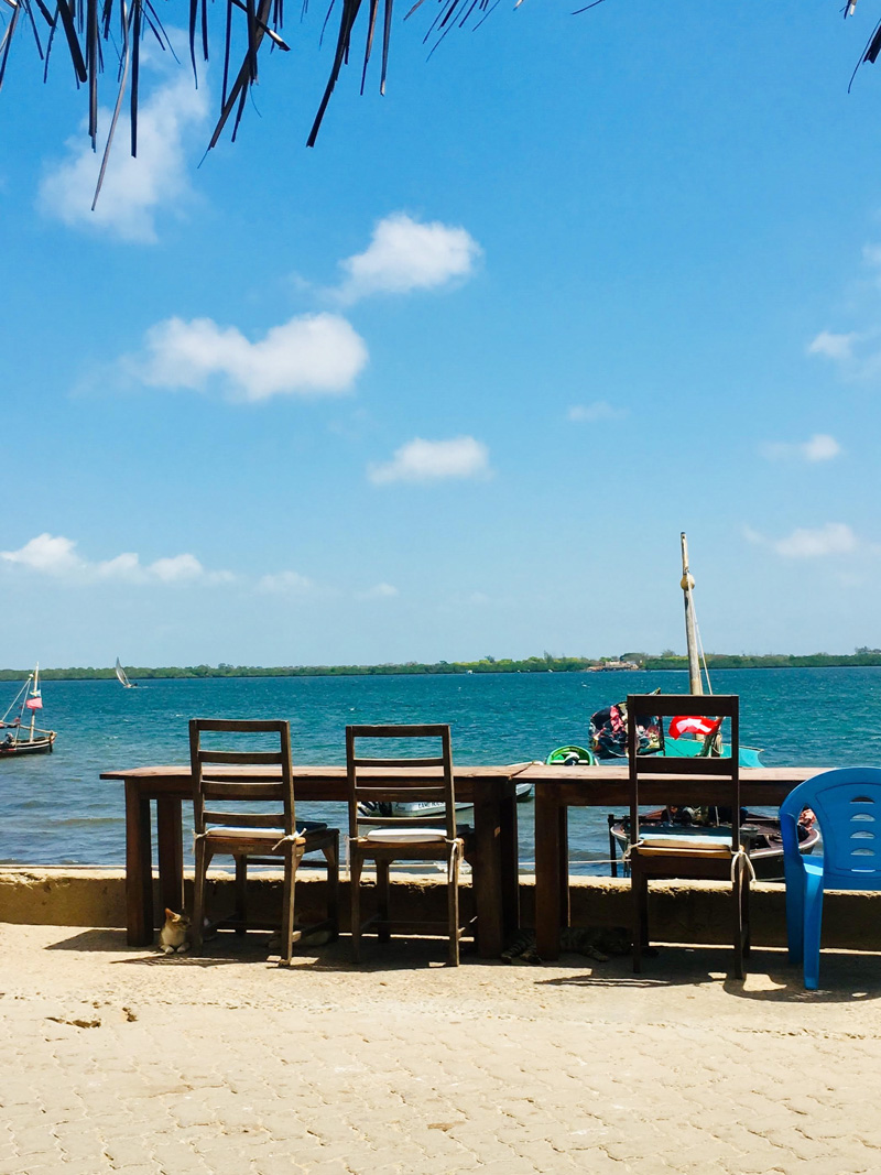 Besuch Lamu Island - Reiseblog Bravegirls