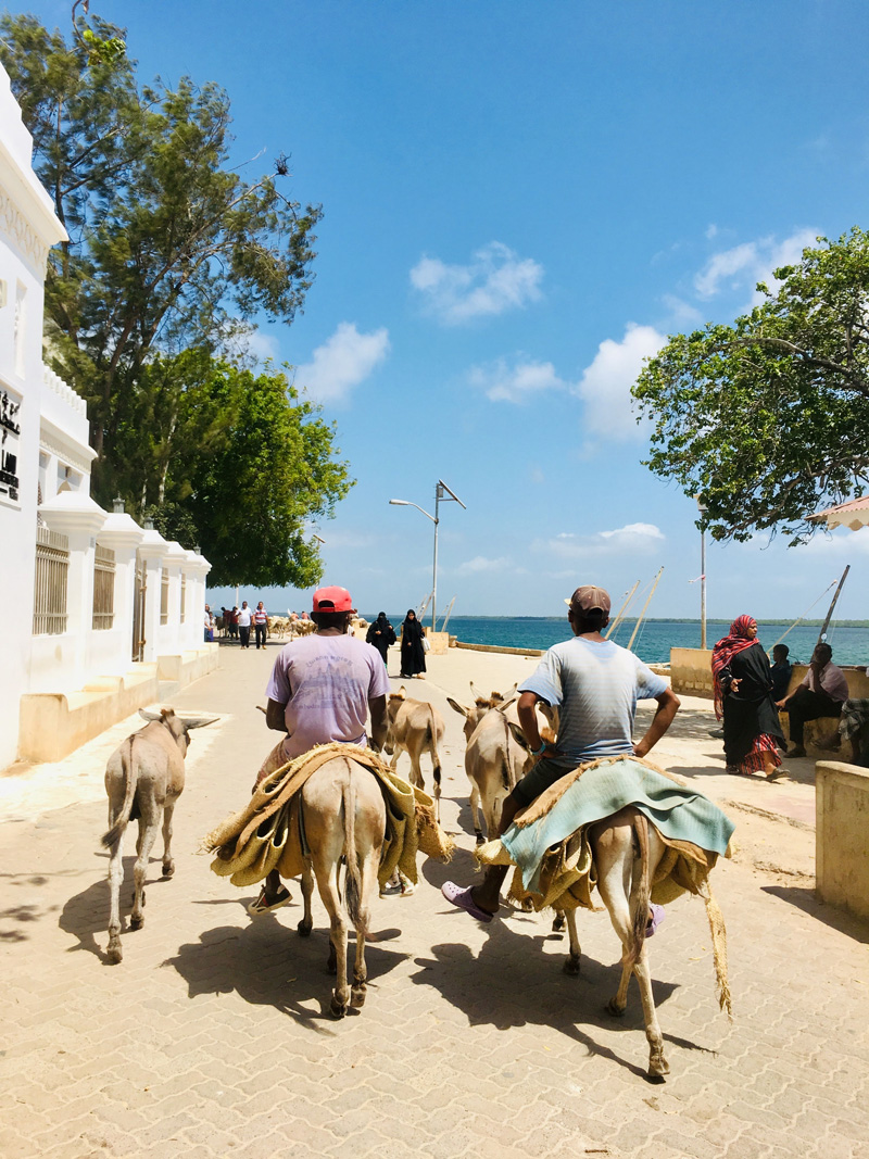 Lamu Reisebericht in Kenia - Reiseblog Bravegirls1