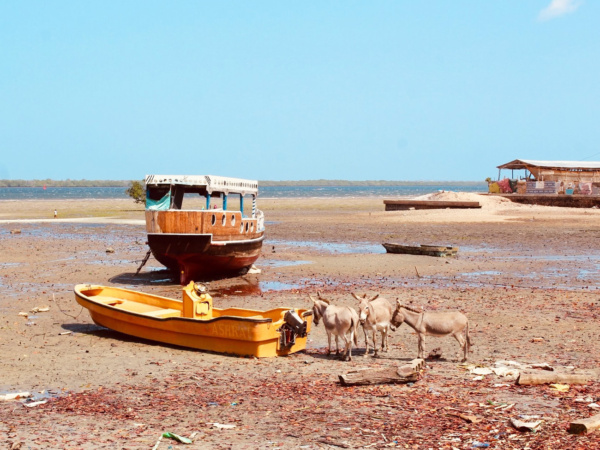 Lamu Reisebericht in Kenia - Reiseblog Bravegirls