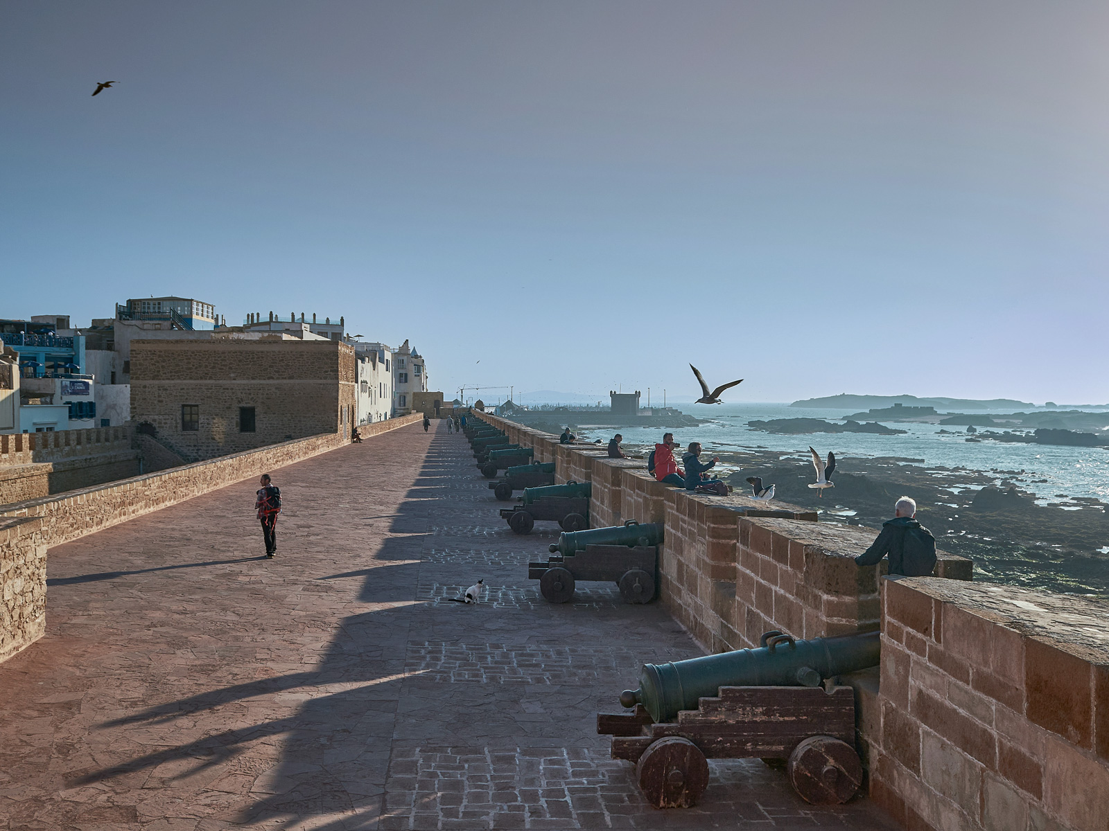 Stadtmauer von Essaouira mit Blick auf den Atlantik