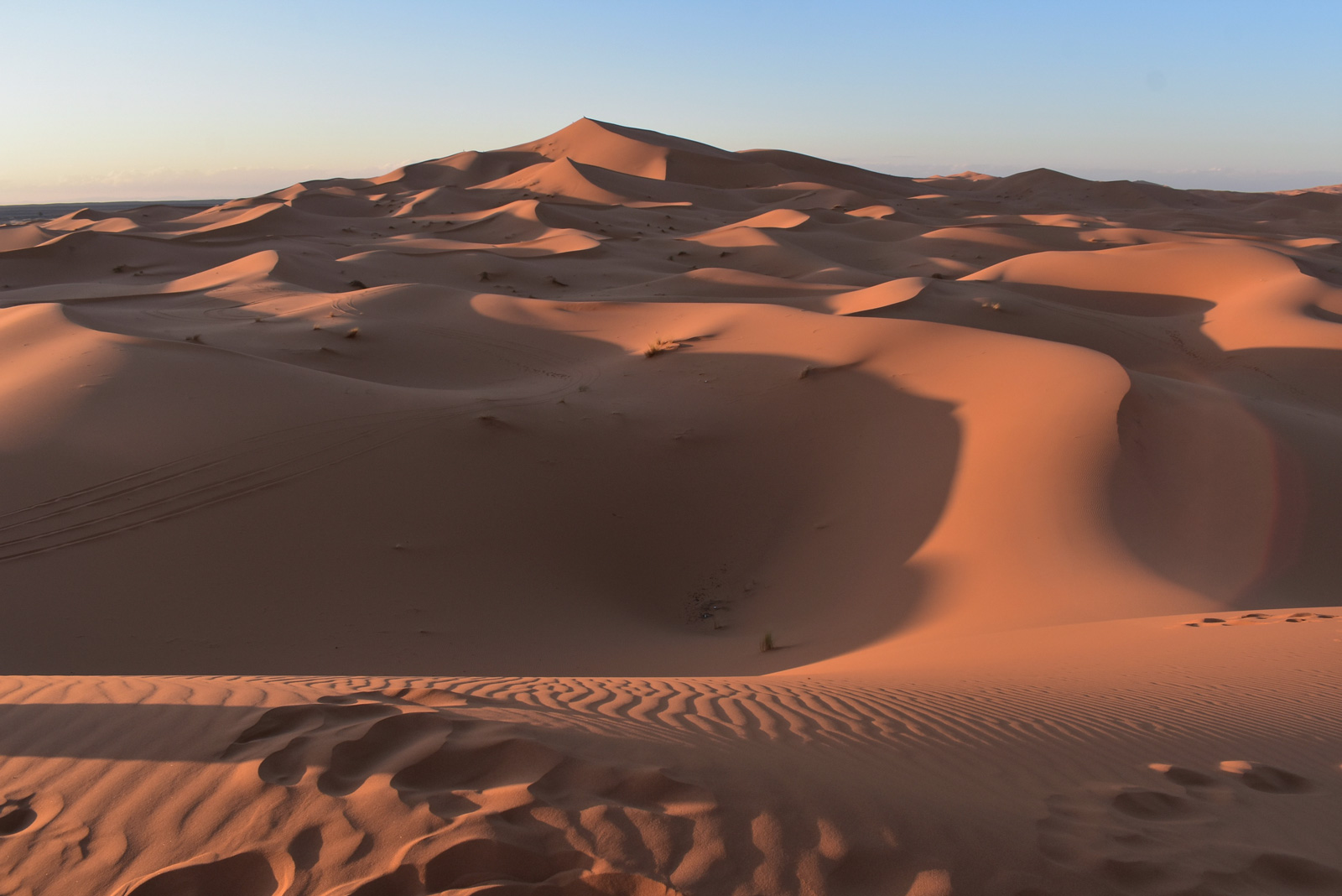 Sanddünen von Erg Chebbi in der Sahara bei Abendlicht